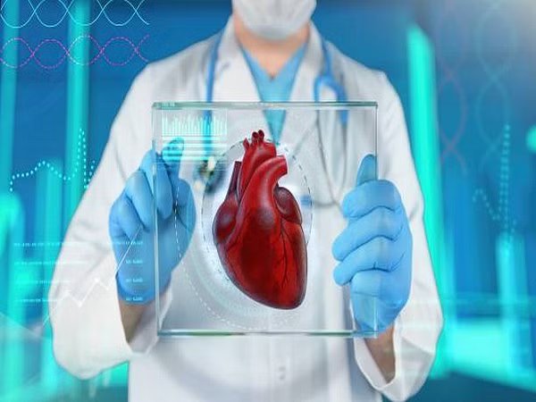 Journal of Cardiovascular Disease Research