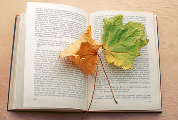 Article writing and publication